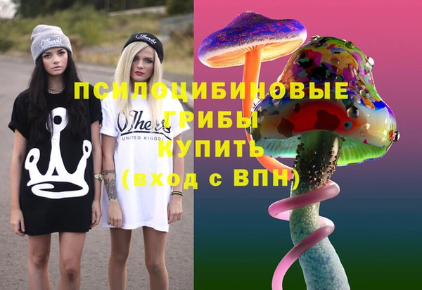 прущий лед Надым