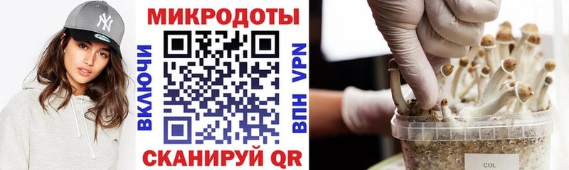 Псилоцибиновые грибы GOLDEN TEACHER Дюртюли