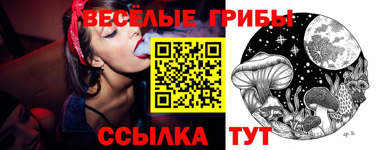 Псилоцибиновые грибы прущие грибы  Вход с VPN  Галлюциногенные грибы Cubensis  Дюртюли 