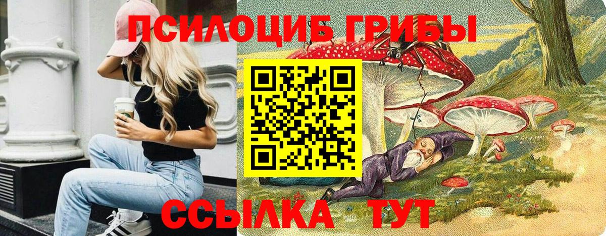 Галлюциногенные грибы GOLDEN TEACHER  Галлюциногенные грибы GOLDEN TEACHER  Дюртюли 